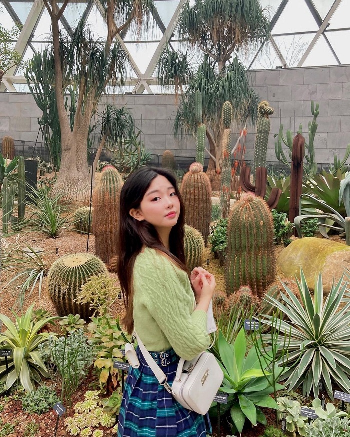 Kinh nghiệm đi vườn bách thảo Seoul Botanical Garden 