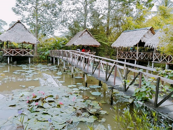 Vườn du lịch sinh thái Lê Lộc - có gì