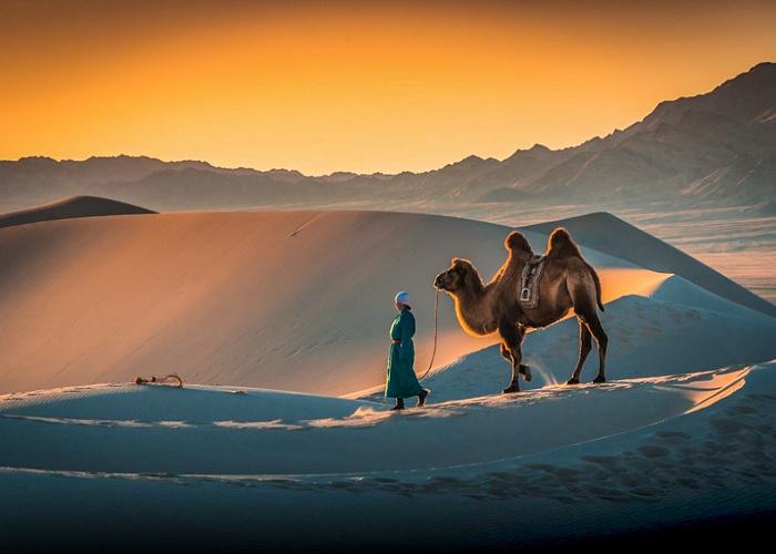 Sa mạc Gobi là một cảnh quan vô cùng đa dạng và thú vị.