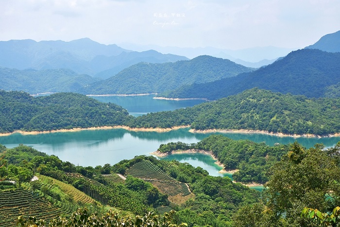 Vườn trà Bagua - Hồ Nghìn Đảo Đài Loan
