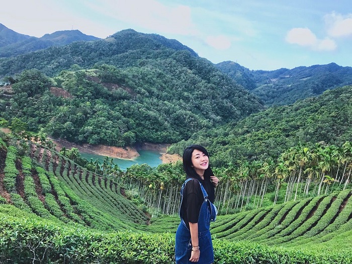 Tham quan vườn trà - Hồ Nghìn Đảo Đài Loan
