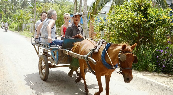 Đi xe ngựa ở làng cổ Phú Vinh Nha Trang 