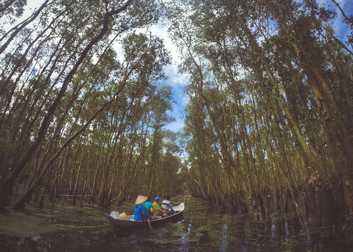 rừng ngập mặn tại Điểm du lịch cộng đồng 3 Sú Cà Mau 