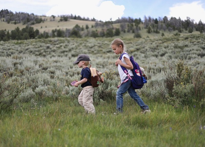 Đồng cỏ Wyoming là đồng cỏ đẹp trên thế giới nằm ở nước Mỹ xinh đẹp