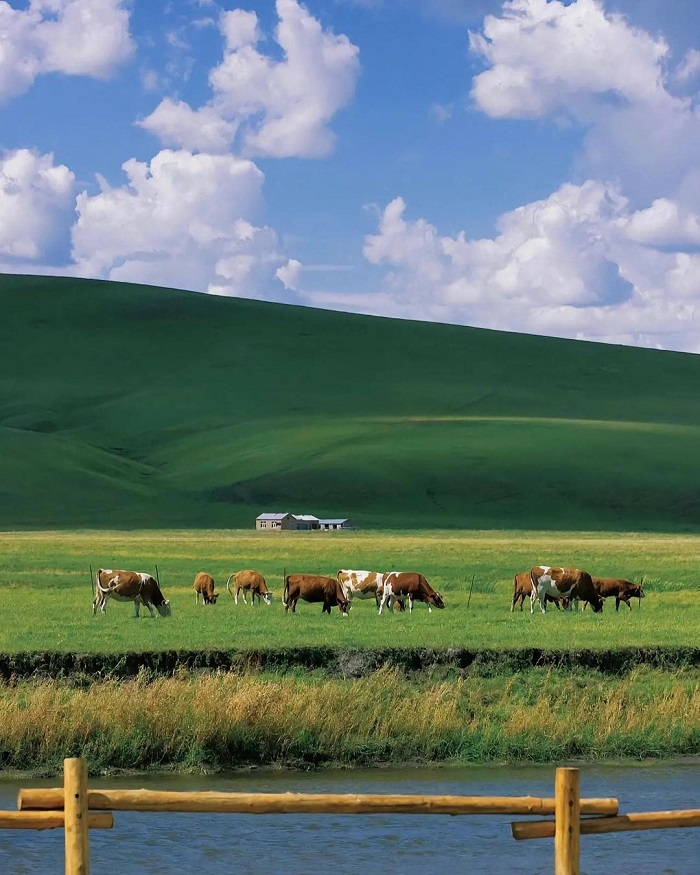 Đồng cỏ Hulun Buir là đồng cỏ đẹp trên thế giới mà bạn nên một lần khám phá