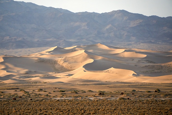 Vườn quốc gia Gobi Gurvan Saikhan sa mạc Gobi