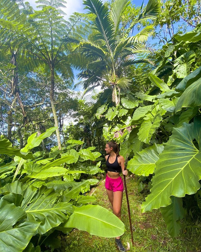 Hòn đảo có những khu rừng nhiệt đới xanh mát - Du lịch đảo Sint Eustatius và Saba