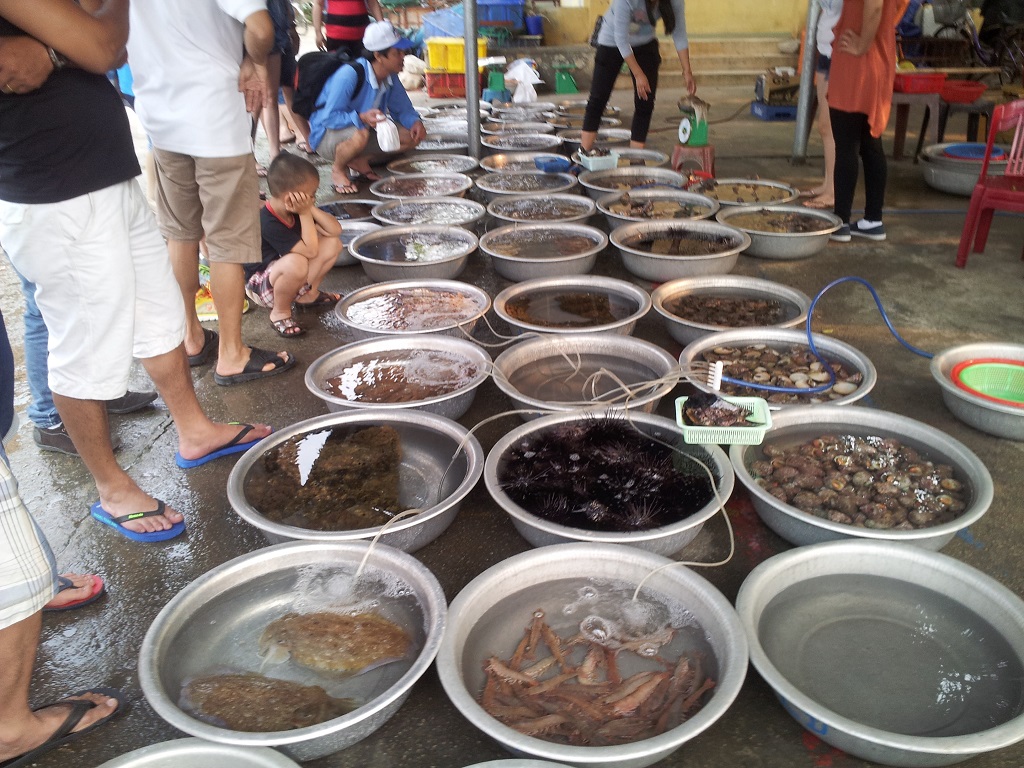 Khám phá chợ Côn Đảo mua sắm hải sản