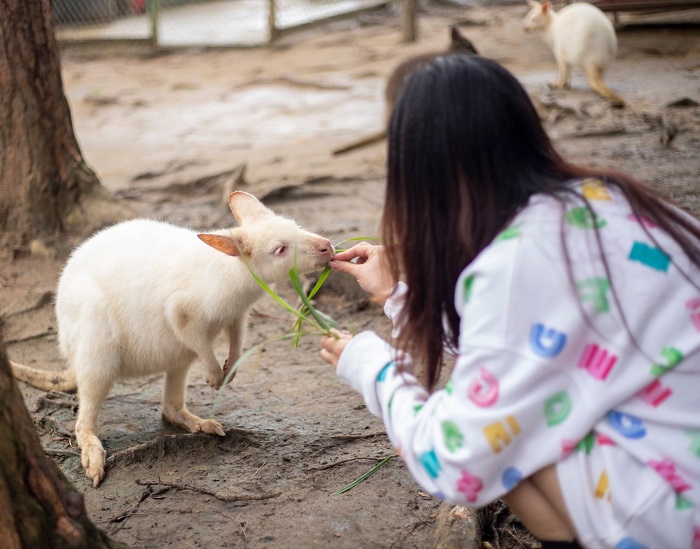 Trải nghiệm ở vườn thú Zoodoo Phan Rang