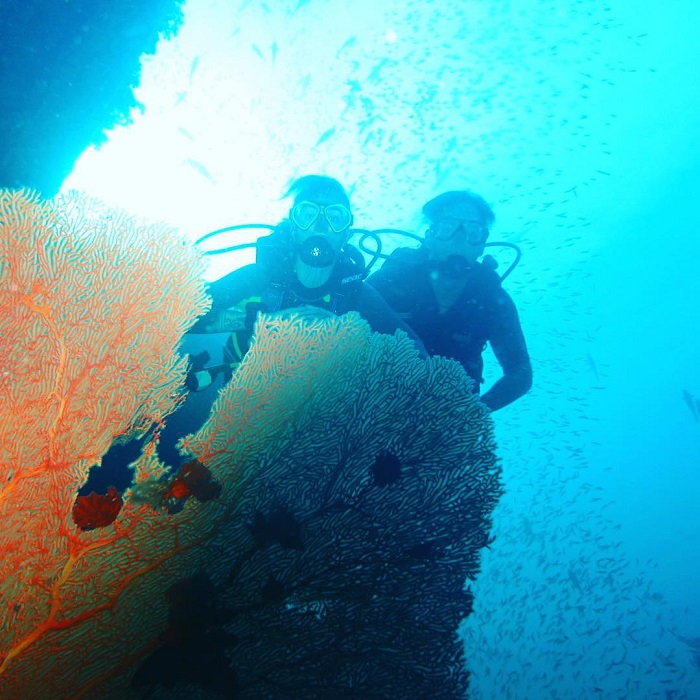 Lặn với ống thở ở đảo Macleod Myanmar
