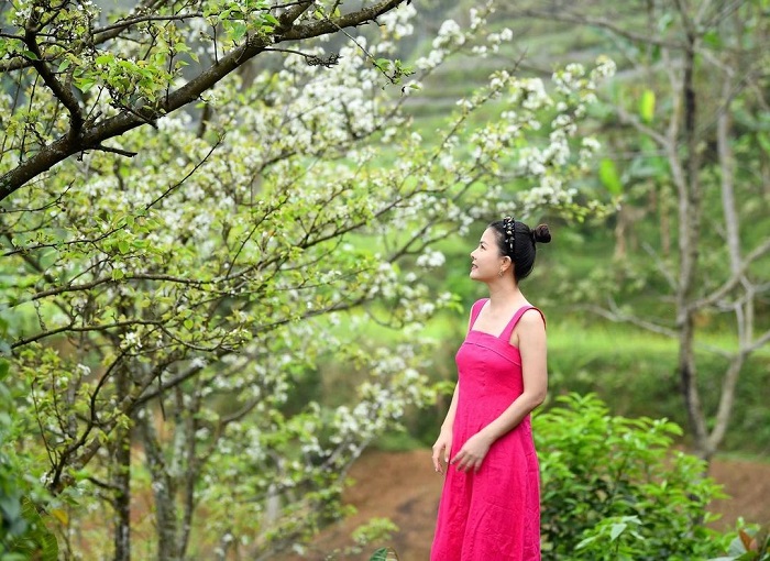 Mùa hoa lê Tuyên Quang đẹp nhất ở huyện Na Hang