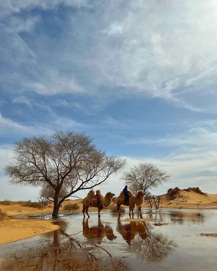 Sa mạc Gobi là sa mạc đẹp trên thế giới được khai thác du lịch