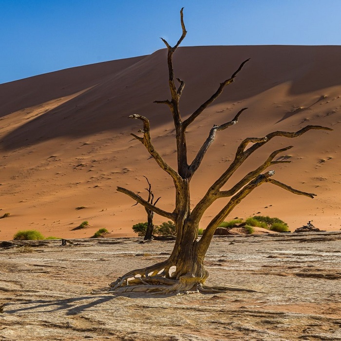 Sa mạc Namib là sa mạc đẹp trên thế giới sở hữu cảnh sắc ấn tượng
