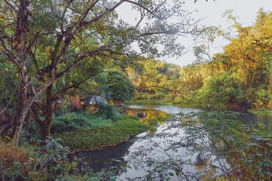 Hồ Ông Nhớ - ‘Tuyệt tình cốc’ ở Bình Phước cảnh đẹp như tranh vẽ