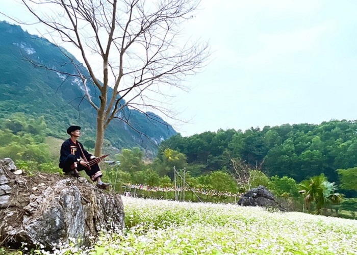 Thung lũng tình yêu Yên Lạc: nơi hoa cỏ đua nhau khoe sắc