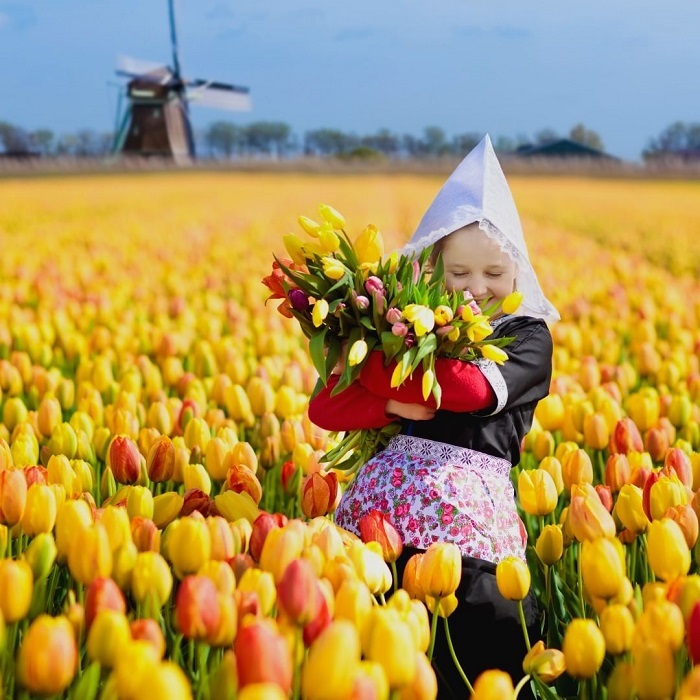 Keukenhof là vườn hoa tulip đẹp trên thế giới tại Hà Lan