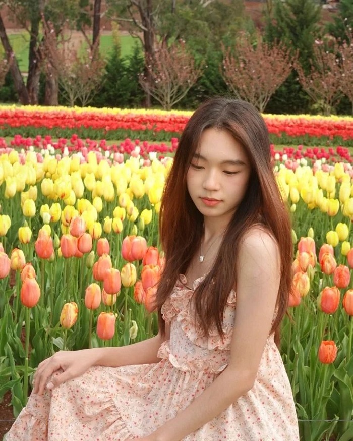 Đây là vườn hoa tulip trên thế giới chỉ cần ngồi vào là có ảnh đẹp