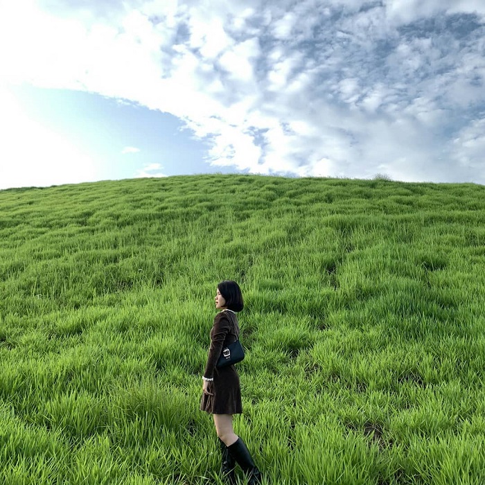Xã Phiêng Luông Mộc Châu có đồi cỏ xanh rì