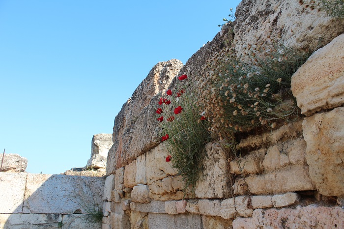 Tường Themistoclean - di tích cổ ở Athens