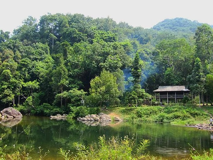 địa điểm cắm trại ở Bắc Giang - Rừng nguyên sinh Khe Rỗ