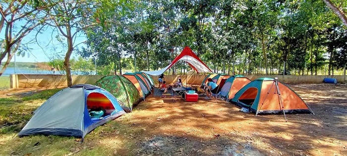 địa điểm cắm trại ở Bình Phước - rừng cao su