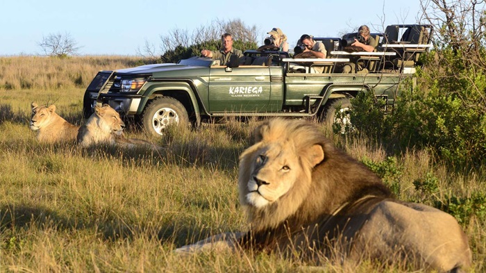 Trải nghiệm Big Five Safaris là hoạt động đặc sắc ở vịnh Sodwana Nam Phi