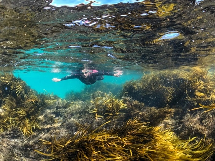 Ghé thăm khu bảo tồn biển Rạn san hô Marengo là hoạt động không thể bỏ lỡ ở vịnh Apollo