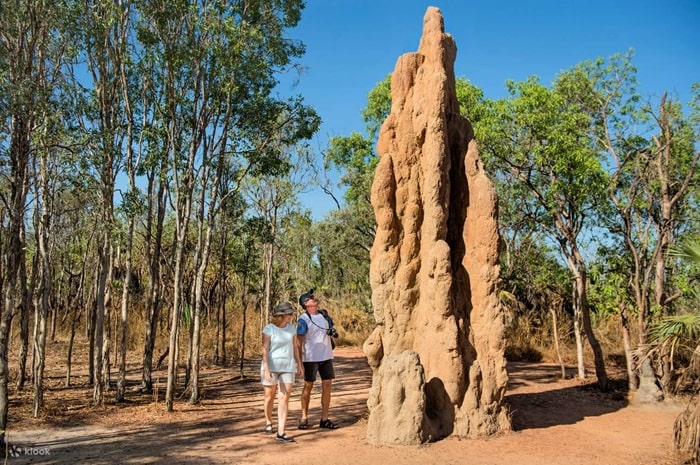 Ụ mối từ tính là điểm tham quan nổi bật ở vườn quốc gia Litchfield Úc
