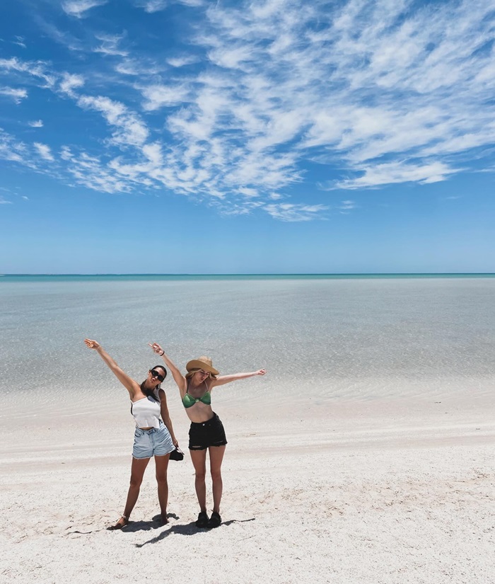 Khám phá vịnh Shark Úc