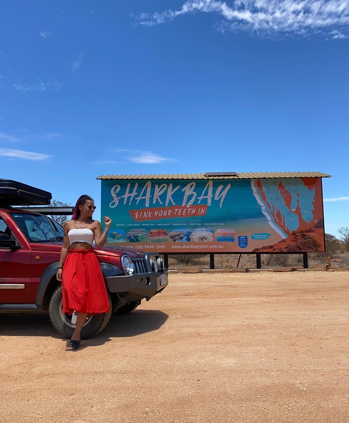 Khám phá vịnh Shark Úc