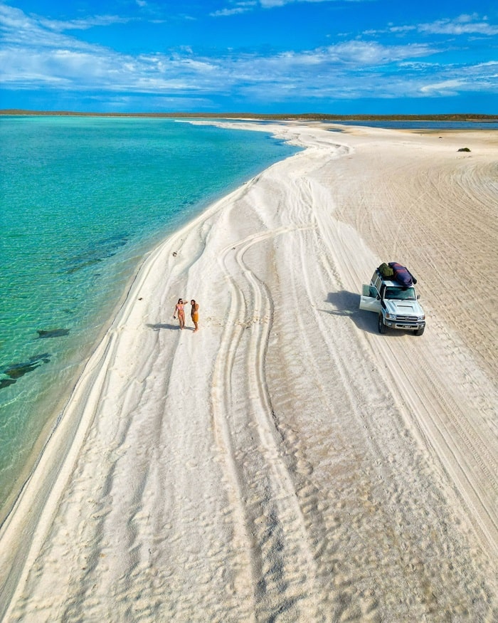 Khám phá vịnh Shark Úc