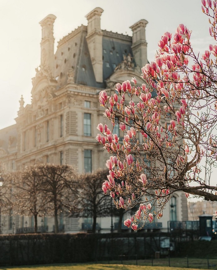Khu Vườn Tuileries là một trong những khu vườn lâu đời nhất