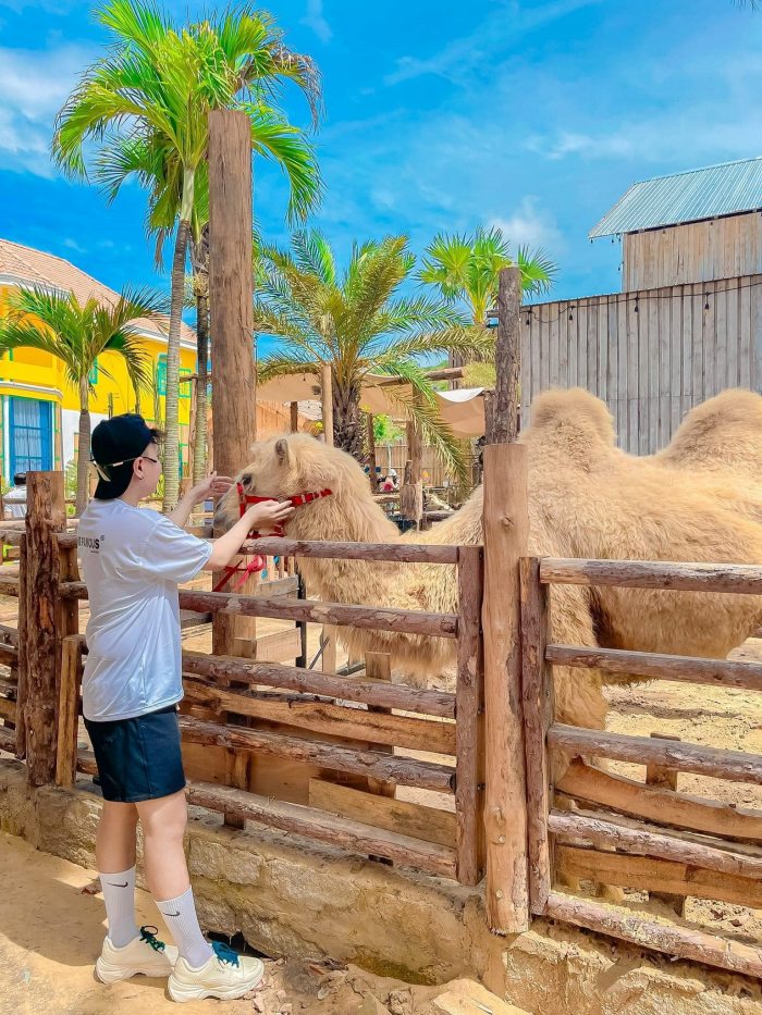  Mango Beach Mũi Né Phan Thiết  vườn thú 