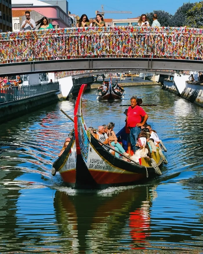 Du ngoạn trên thuyền Moliceiro là điều không thể bỏ lỡ khi đến thành phố Aveiro