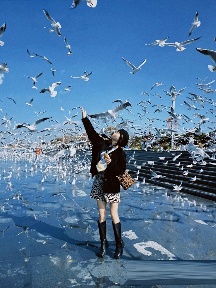 Câu hỏi thường gặp về tour Côn Minh Lệ Giang