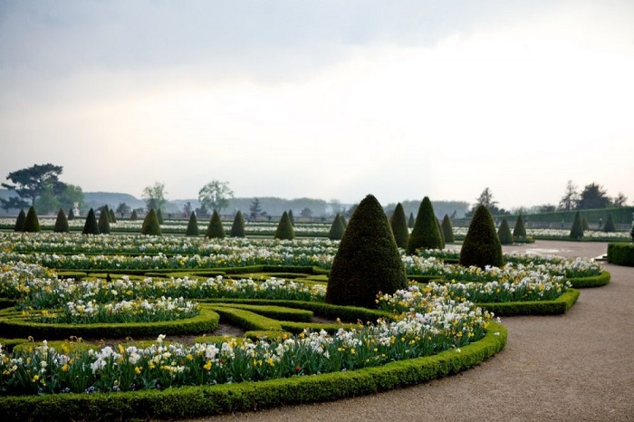 Flower Parterre là vườn hoa thủy tiên đẹp nhất thế giới nằm ở Pháp