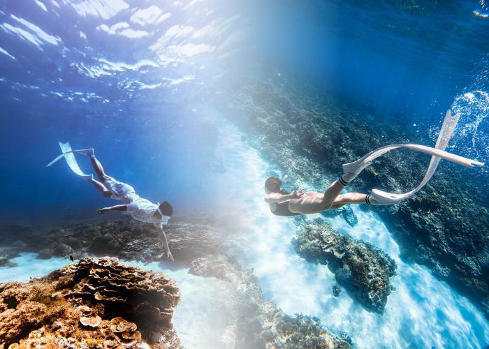 Bỏ túi kinh nghiệm lặn ngắm san hô ở Phú Quý: Chạm vào giấc mơ đại dương