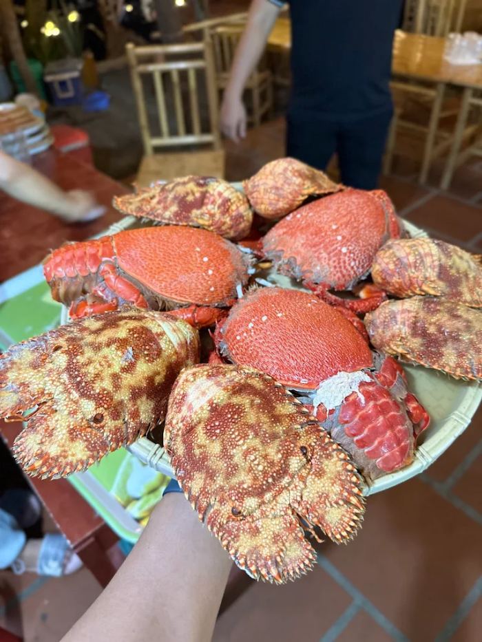 Ăn gì ở Phú Quý hải sản