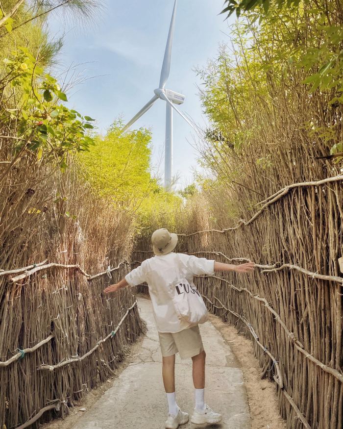 cánh đồng điện gió Phú Quý