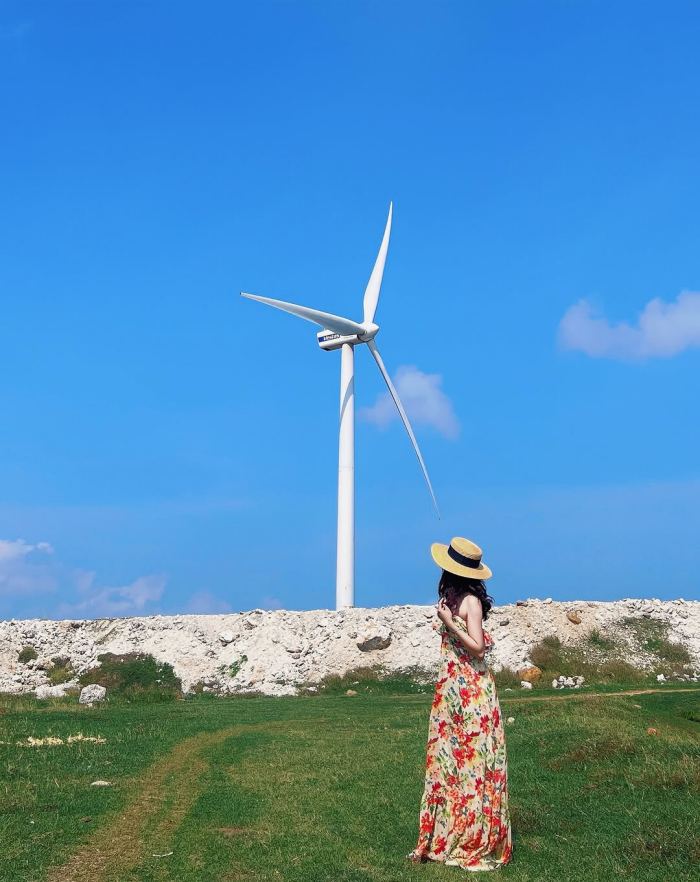cánh đồng điện gió Phú Quý