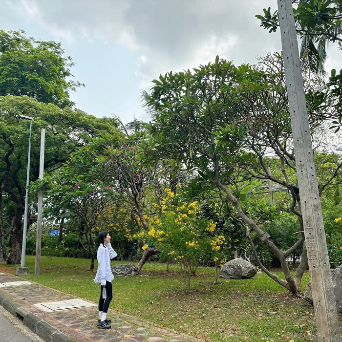 Du lịch công viên Lumphini Thái Lan