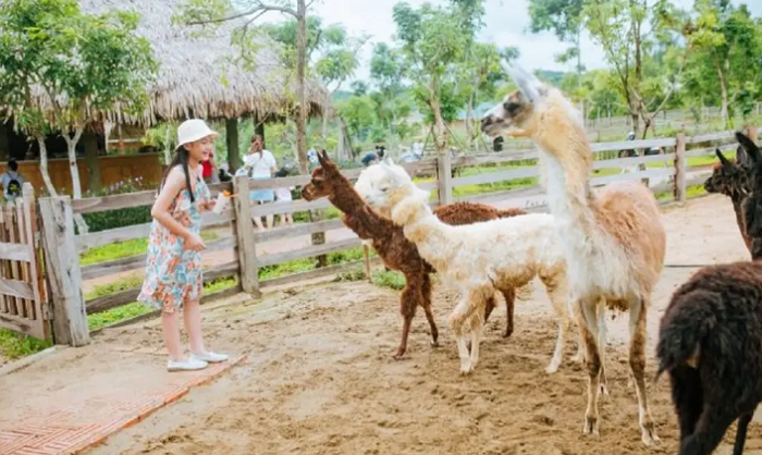 địa điểm du lịch Nghệ An- Mường Thanh Diễn Lâm