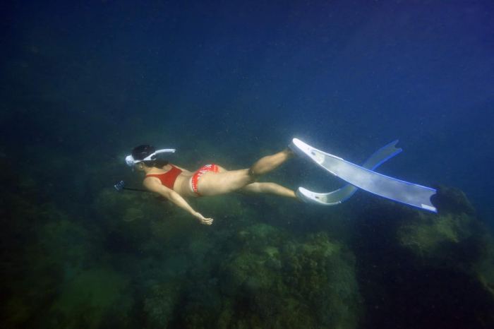 san hô hòn Xưởng Phú Quốc