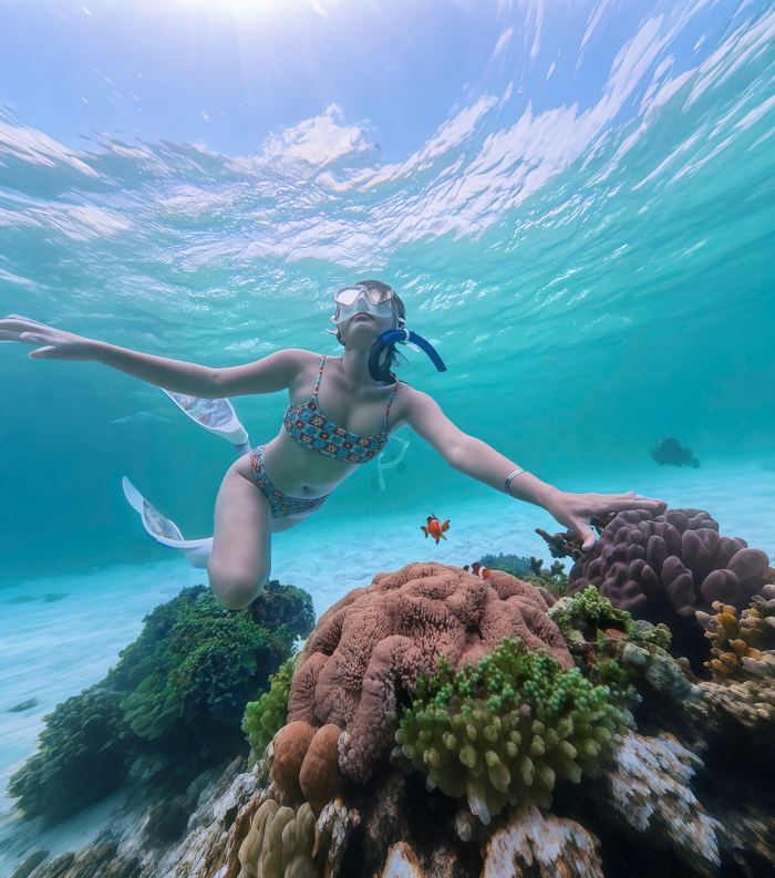 kinh nghiệm lặn ngắm san hô ở Phú Quý