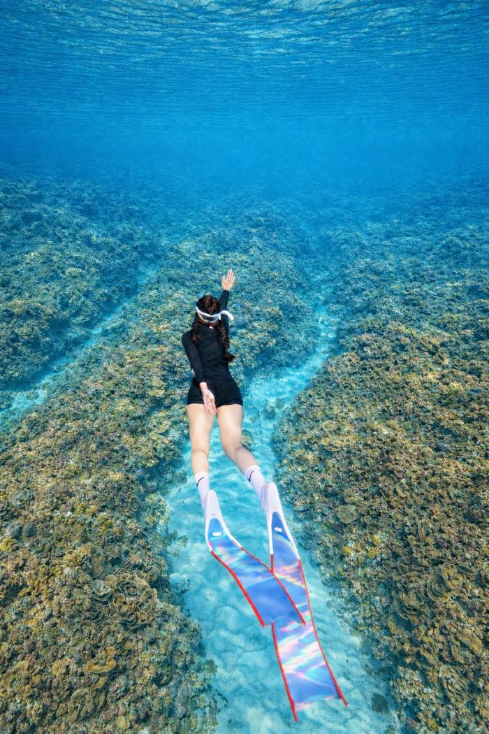 kinh nghiệm lặn ngắm san hô ở Phú Quý