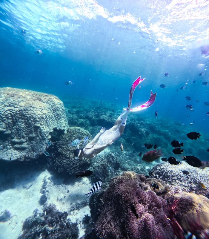 kinh nghiệm lặn ngắm san hô ở Phú Quý