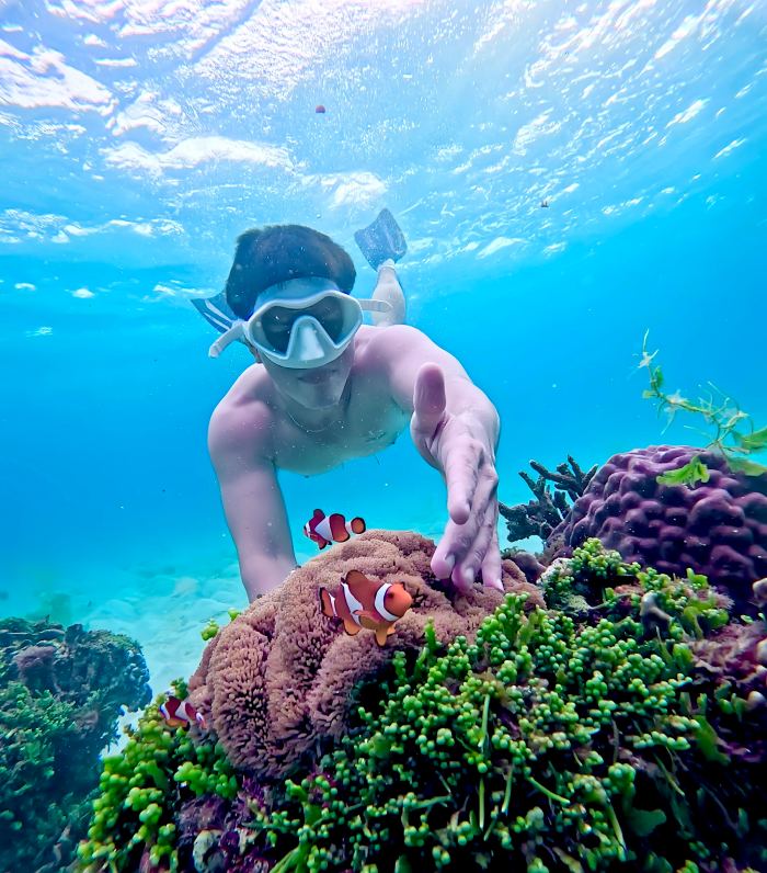 kinh nghiệm lặn ngắm san hô ở Phú Quý