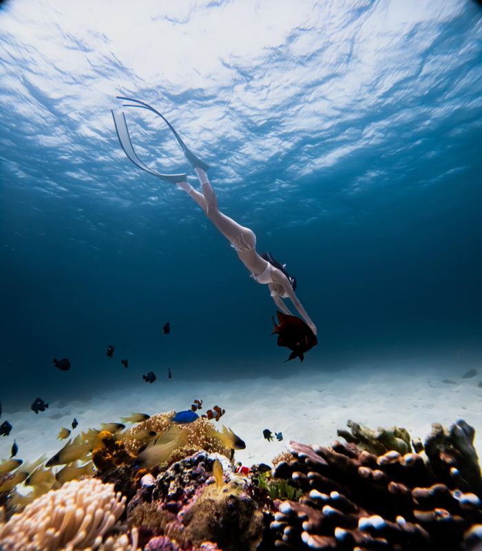 kinh nghiệm lặn ngắm san hô ở Phú Quý