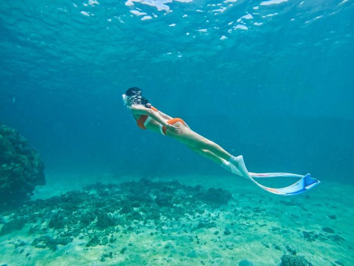 kinh nghiệm lặn ngắm san hô ở Phú Quý