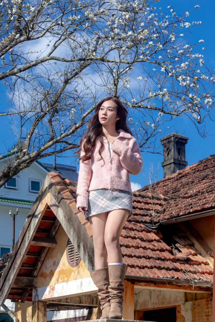 mùa hoa ban Đà Lạt  đường Hồ Tùng Mậu